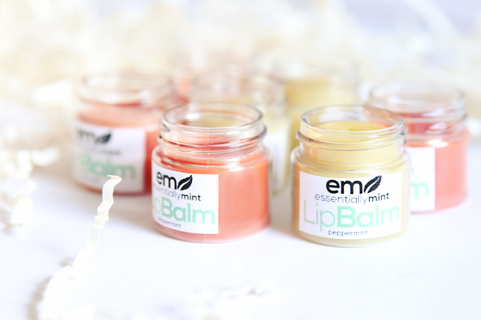 Shea Butter Lip Balm (Set of 4)