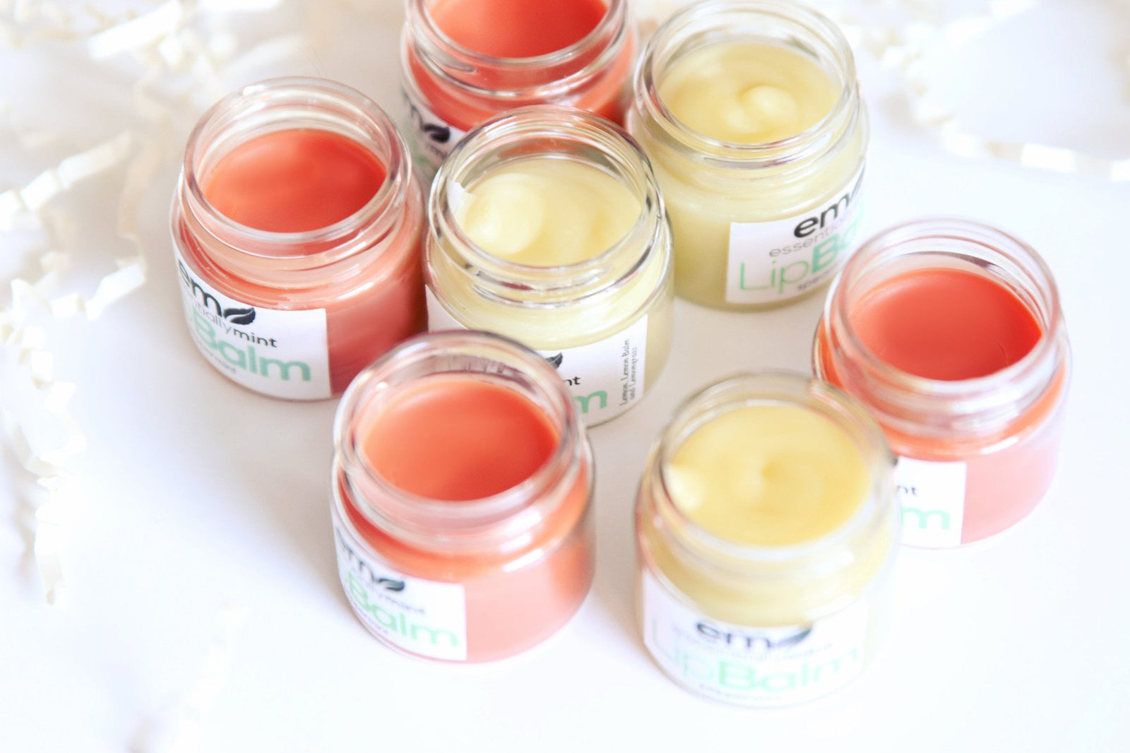 Shea Butter Lip Balm (Set of 4)